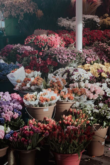 A vibrant display of fresh flowers at a market stall, featuring an abundant assortment of colourful blooms including pink, red, purple, white, and peach carnations, tulips, and chrysanthemums arranged