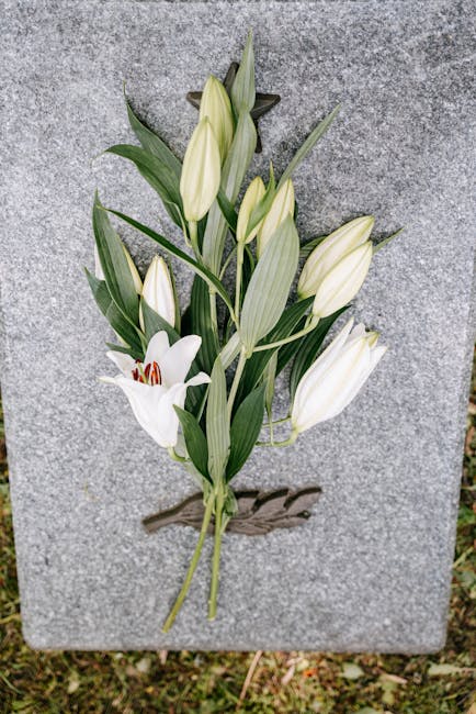 https://enfieldwashflowers.co.uk/blog/ponders-end-funeral-flowers-guide-enfield-cemetery-rules/