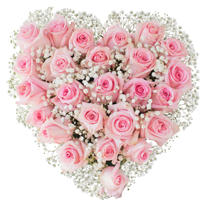 A meticulously formed heart of pink roses, photographed against a pure white field so every petal and filament of baby's breath is clearly visible. The roses are arranged in tight proximity - a luxurious, almost quilted surface of blooms where each flower contributes to a continuous plane of soft colour; shades drift from faint, cotton-candy pink at the edges to slightly deeper rosy tones at the centre of some buds. A selection of blossoms sits in various stages of opening, producing a gentle cadence between small, compact buds and more expansive, layered roses that show off velvety inner petals. Interspersed among them, the gypsophila appears like a halo of fine white smoke, its tiny clusters adding an airy dimension that both lightens and defines the heart silhouette. The bright, even lighting highlights the dewy freshness of the petals and the subtle shadows that give the arrangement depth and roundness. As a local florist, I imagine this piece being chosen for occasions where tenderness and elegance are required - a wedding symbol, a romantic offering, or a respectful floral tribute - and I picture it arriving by hand to homes around Enfield Wash, Ponders End and the lanes near Forty Hall. The craftsmanship is deliberate: balanced density, thoughtful colour mixing, and a softness of line that makes the heart feel both classic and quietly modern. The overall mood is one of refined affection, a floral embrace that looks as if it might be pressed into the palm of a loved one to preserve a moment of true tenderness.