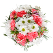 This breathtaking circular bouquet, skillfully arranged for Enfield Wash, captures the essence of seasonal joy that flourishes along Ordnance Road each spring. At the center, pure white daisies radiate with chartreuse hearts, surrounded by the plush embrace of coral-pink carnations whose lively petals ripple like joyful laughter. Lacy gypsophila threads through the blossoms, adding a floating lightness that softens each transition. Glimpses of blush-toned alstroemeria and the silvery green of eucalyptus leaves provide visual and sensory balance, their subtle fragrance merging with the fresh scent of classic greens. Every stem is thoughtfully placed to convey a quiet exuberance-a celebration fit for birthdays, anniversaries, or simply bringing the cheer of Enfield Wash's gardens indoors. Sunny yet tranquil, this bouquet honors the local tradition of thoughtful flower giving and the artistry of neighborhood florists.